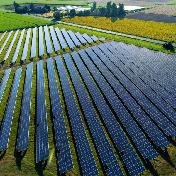 Installation au sol de panneaux solaires l Silicéo