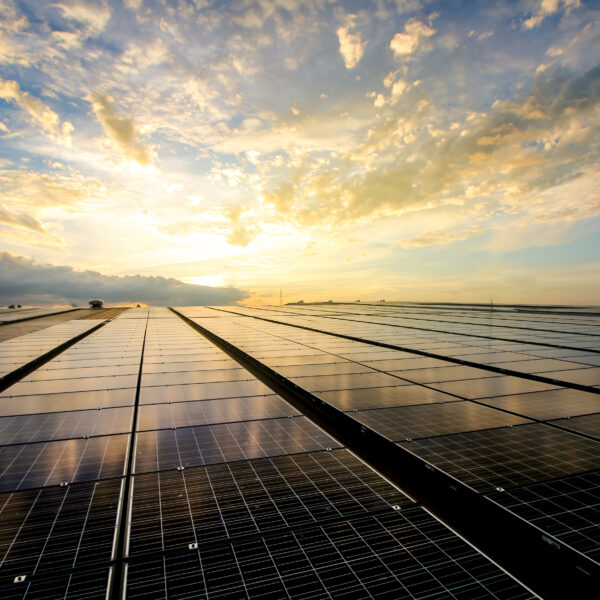 Vendre sa production énergie solaire : Pourquoi ? Comment ?