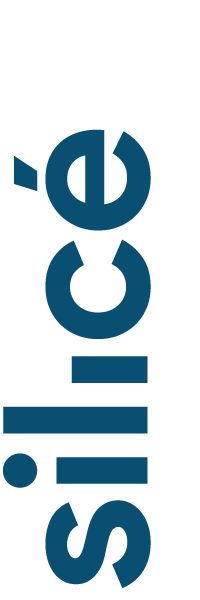 Logo Silicéo page d'accueil
